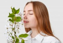 چیکار کنیم حس بویایی برگرده؟ 229323.jpeg alt_text