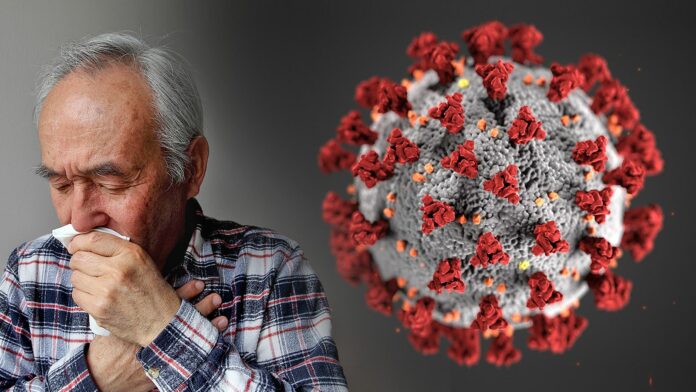 260723.jpeg alt_text