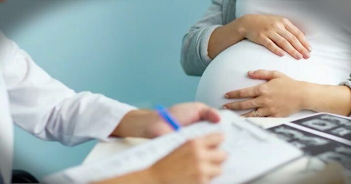 290801.jpeg alt_text