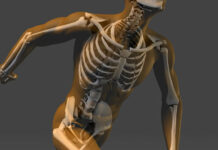 پیوند سلول های بنیادی مغز استخوان 431994.jpeg alt_text