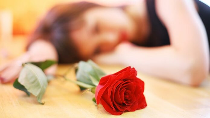 442113.jpeg title 442113.jpeg alt_text