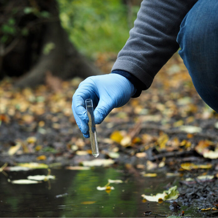 442947.jpeg title 442947.jpeg alt_text