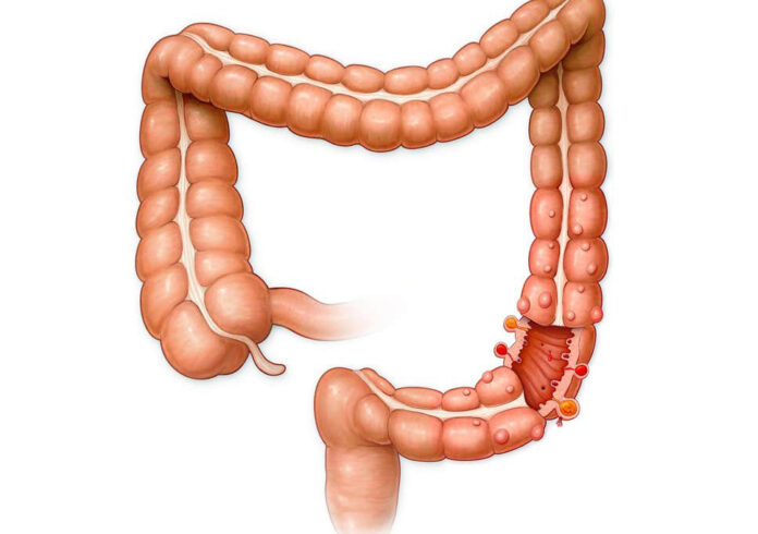 494600.jpeg title 494600.jpeg alt_text