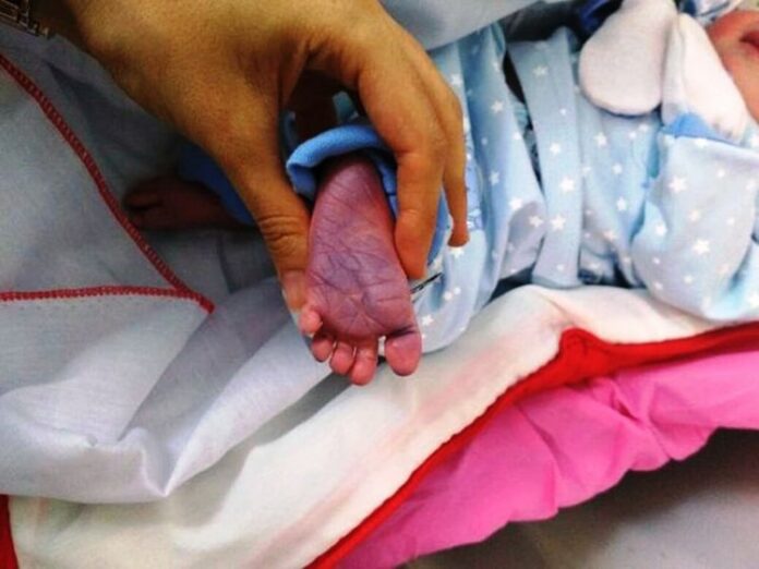 637370.jpeg alt_text