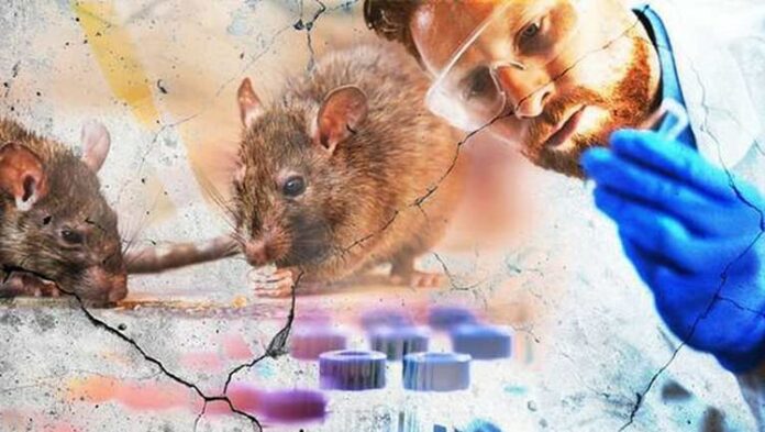 642948.jpeg alt_text