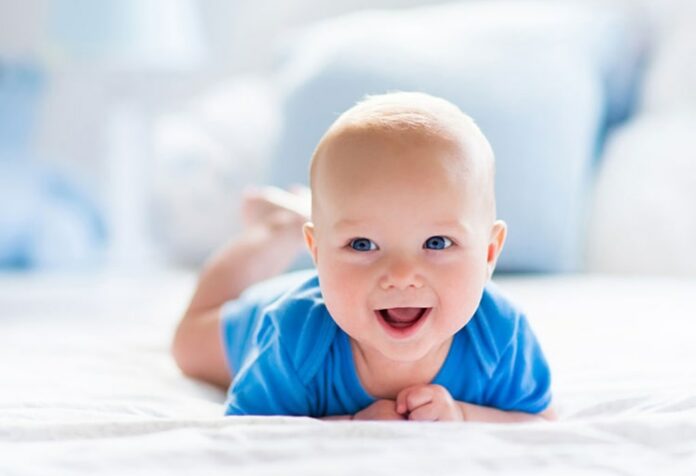 670137.jpeg alt_text