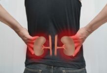 کیست کلیوی و بیماری پلی کیستیک کلیه 708250.jpeg alt_text