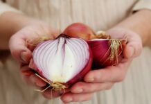 آیا هوای خانه با پیاز تمیز می شود؟ 719650.jpeg alt_text