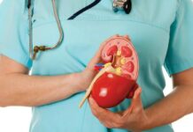 تشخیص سرطان کلیه با سونوگرافی 96076.jpeg alt_text