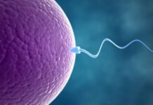 روشهای کمک باروری کدام اند؟ روشهای کمک باروری