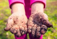 خاک خوردن یا ژئوفاژی چیست؟ خاک خوردن