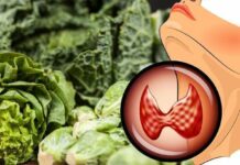 درمان کم کاری تیروئید با رژیم غذایی رژیم غذایی کم کاری تیروئید