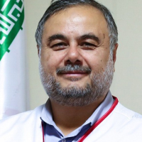 محمدتقی حلی ساز