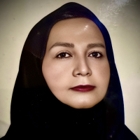 بدرالملوک ثقفی