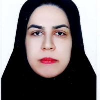 نازیلا اسلامی