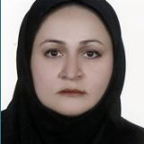  میترا میر محمدی
