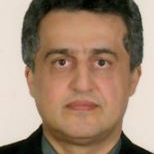 فردین میربلوک