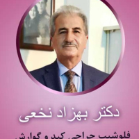 عباس سلیمانی