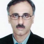 محسن ارفع نیا