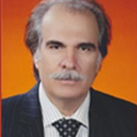  علی زینلی