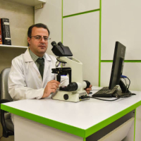 فریدون صلح جو