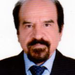  محمدحسین صادقی
