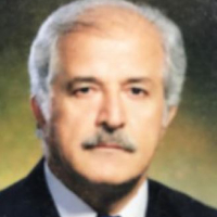 سید جواد نصیری