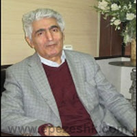  سیدهبت الدین برقعی