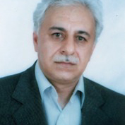 علی ابراهیمی نژادرفسنجانی