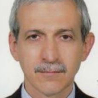 محمود جبل عاملی